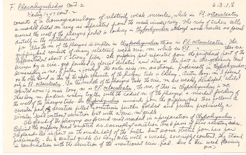 index card