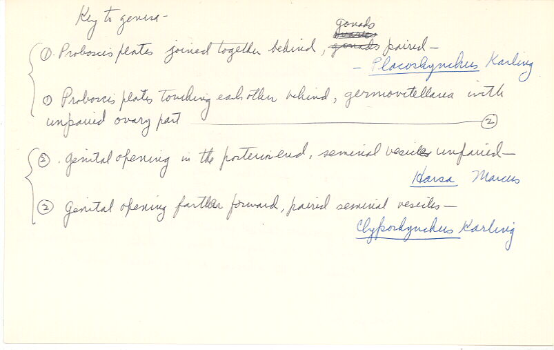 index card