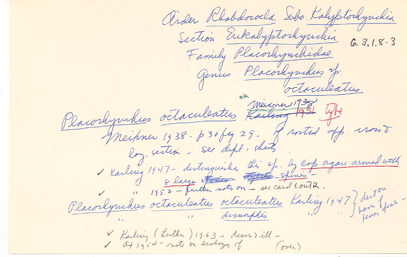 index card