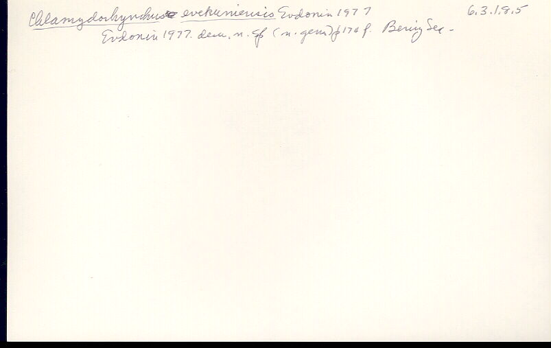 index card