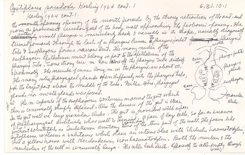 index card