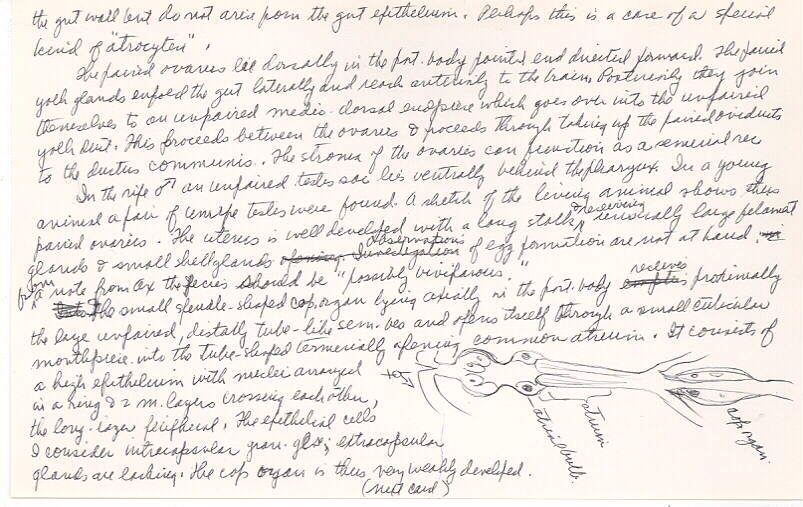 index card