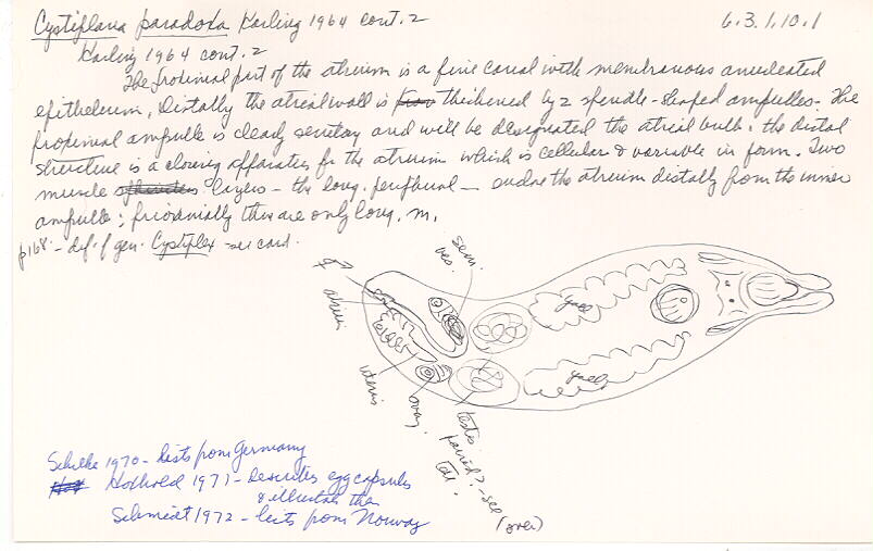 index card