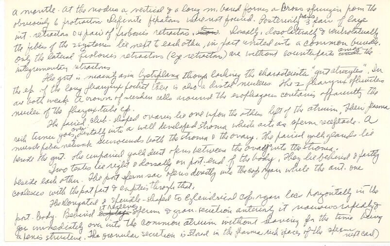 index card