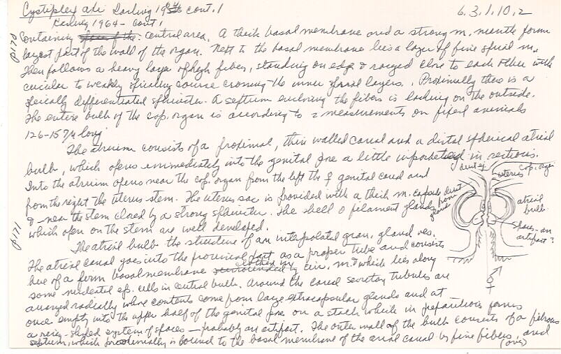 index card