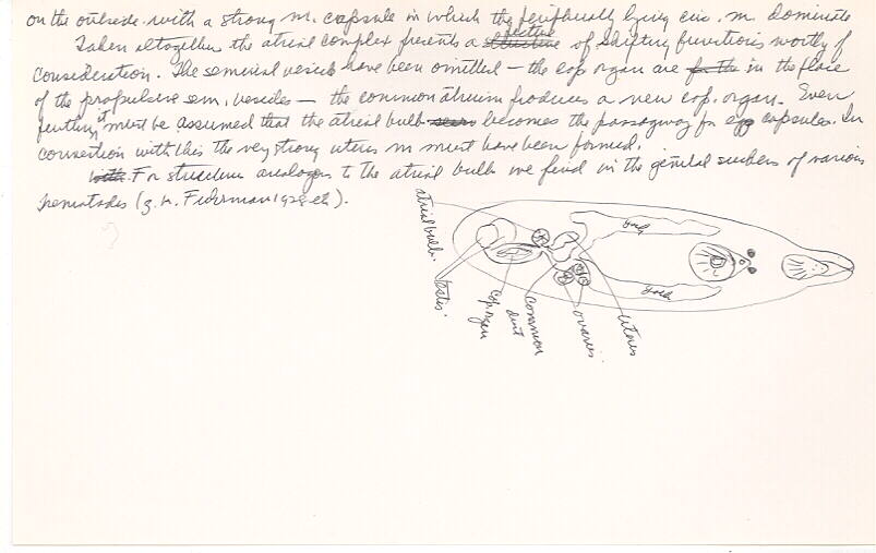 index card