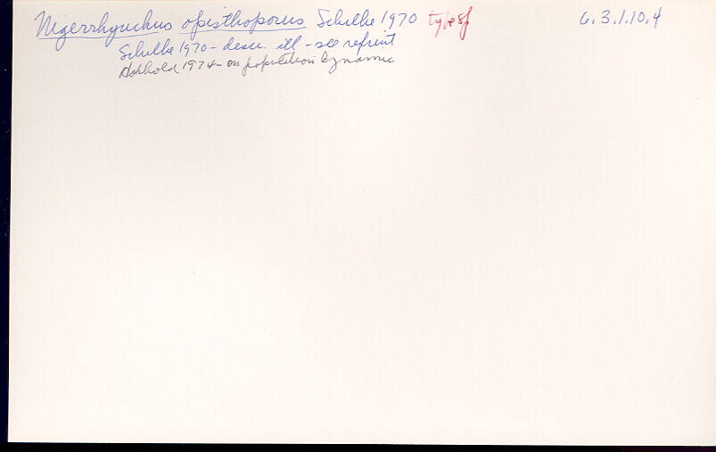 index card