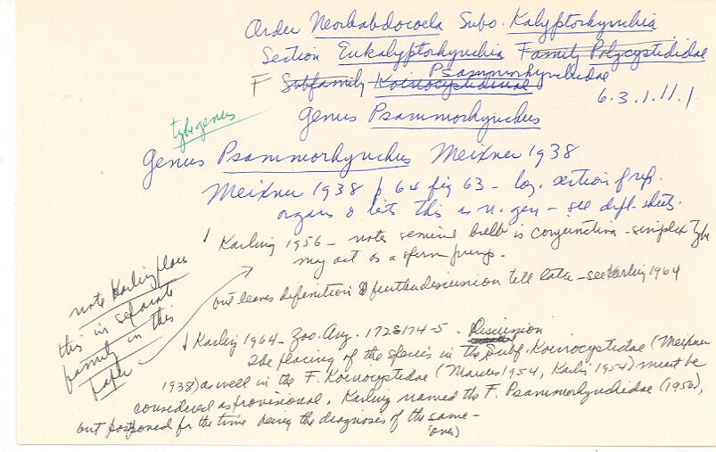 index card