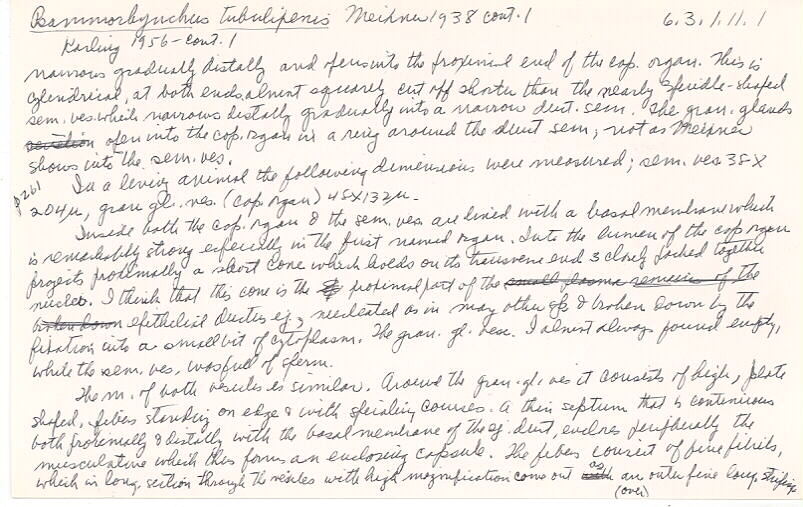 index card
