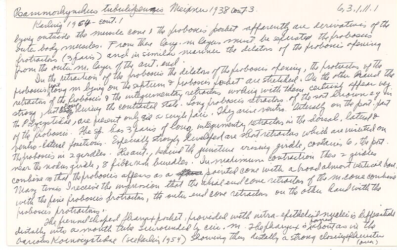 index card