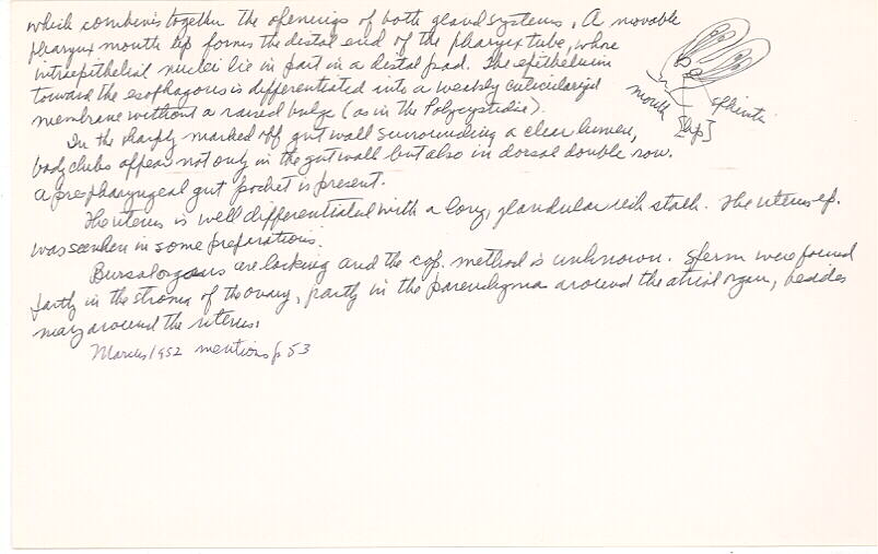 index card
