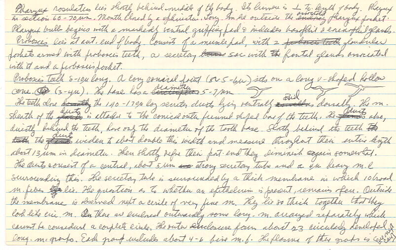 index card