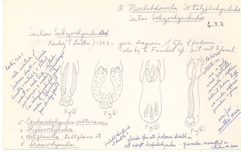index card