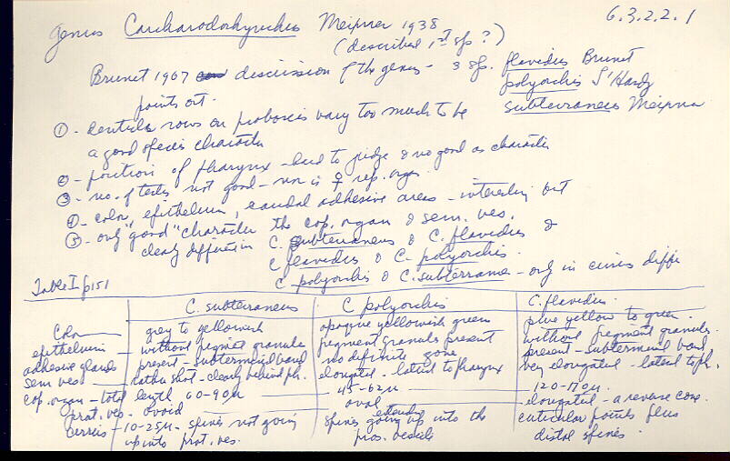index card