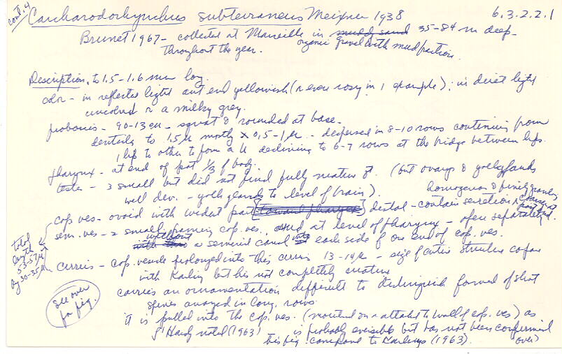 index card