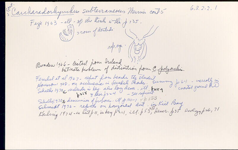 index card