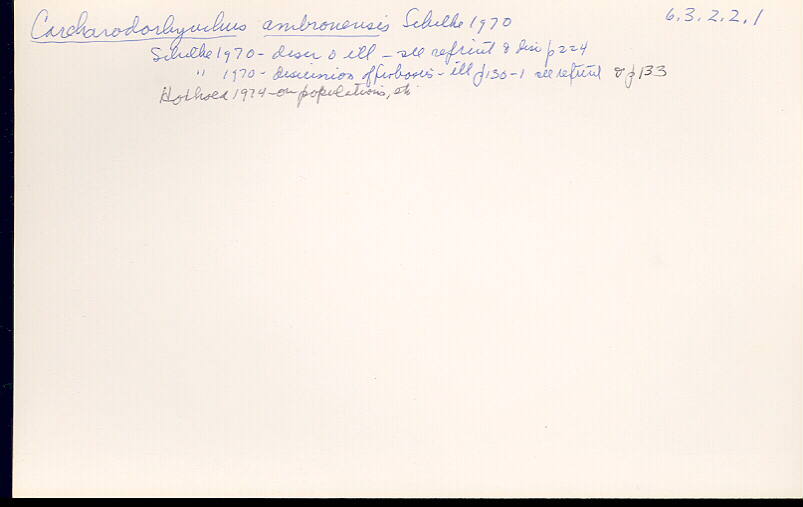 index card