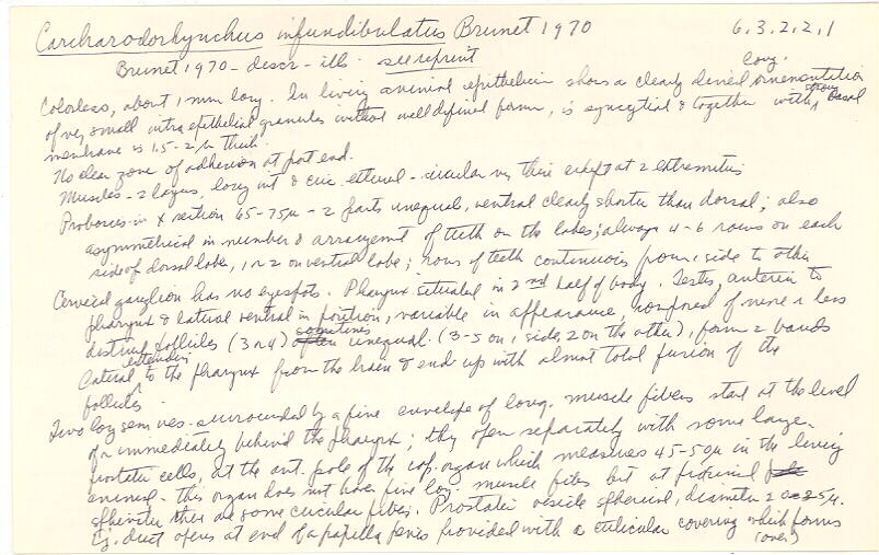 index card