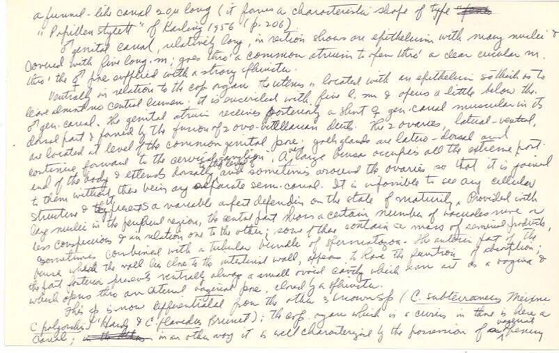 index card