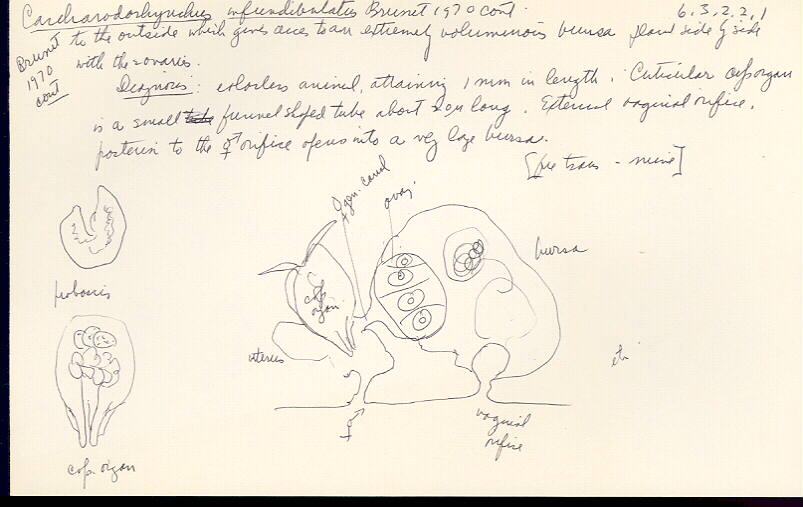 index card