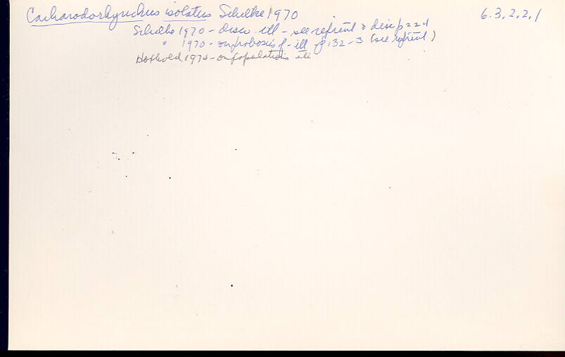 index card
