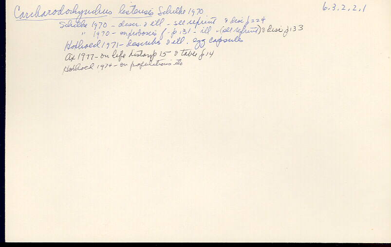 index card