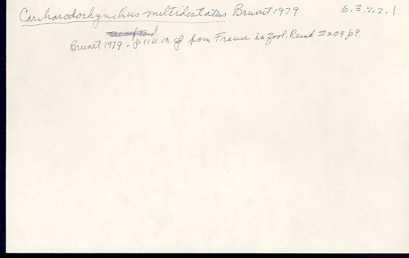 index card