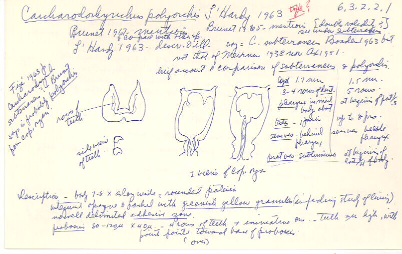index card