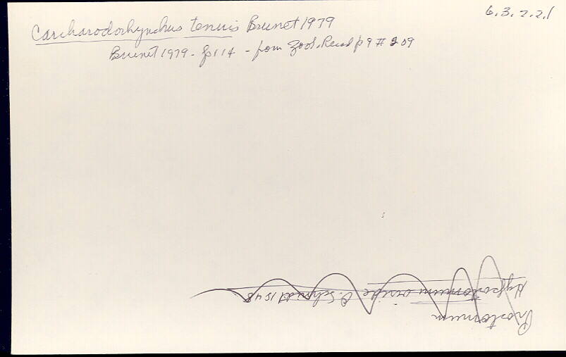 index card