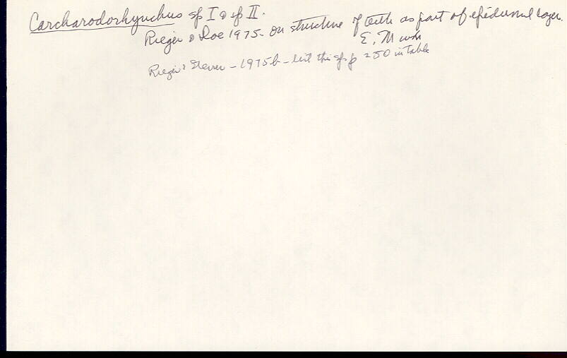 index card