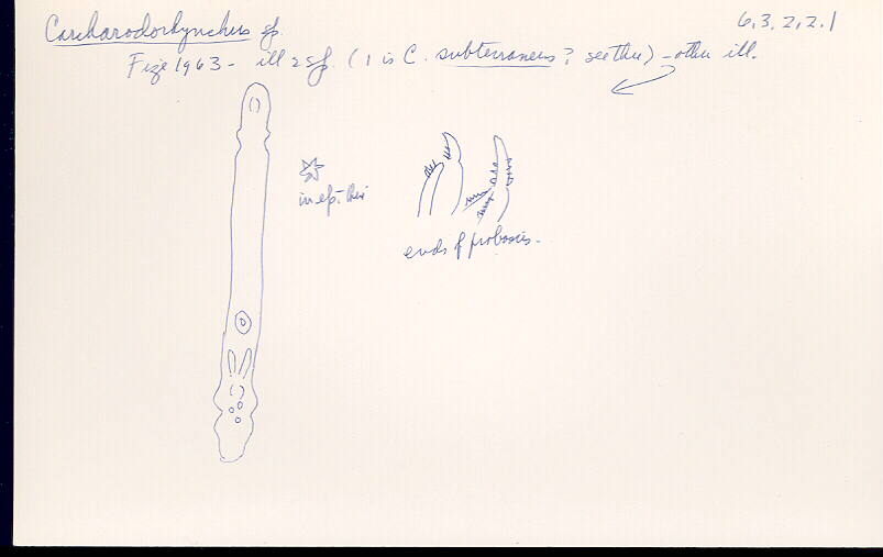 index card