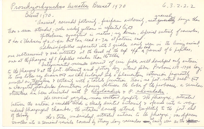 index card