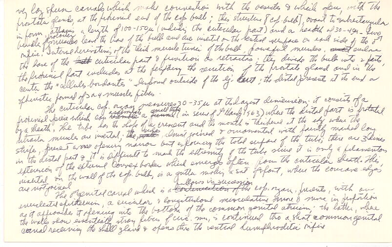 index card
