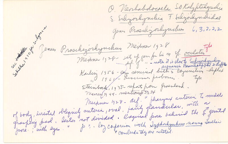 index card