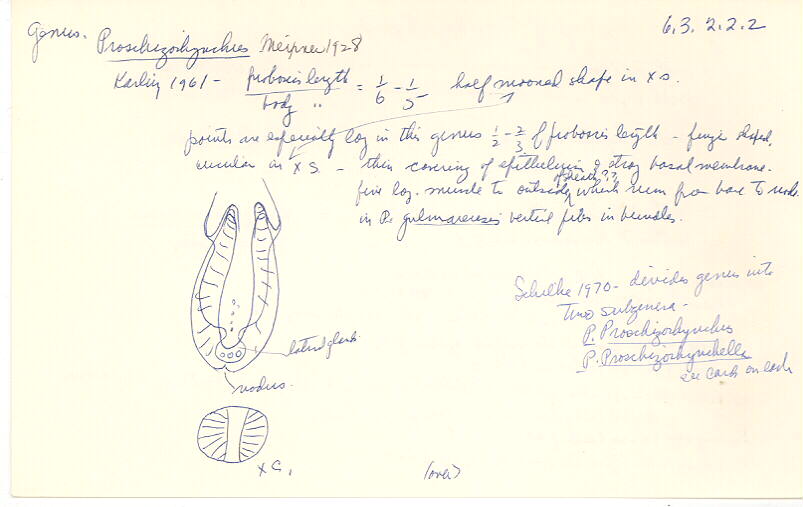 index card