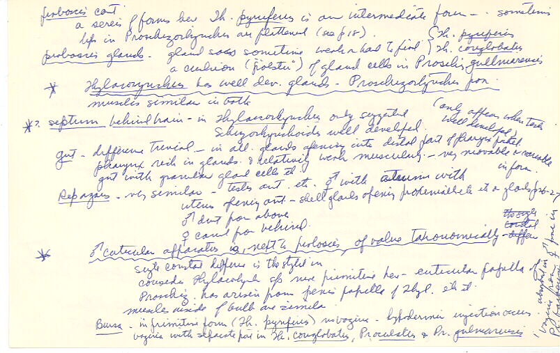 index card