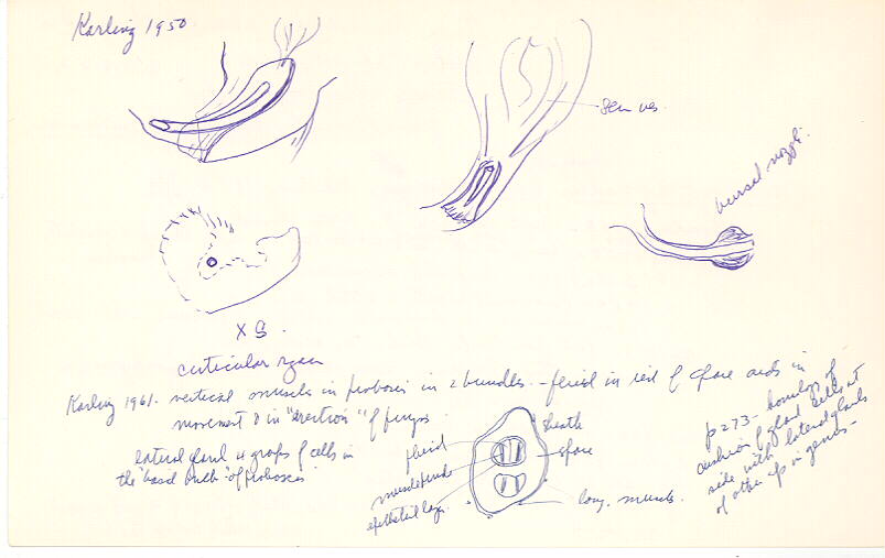index card