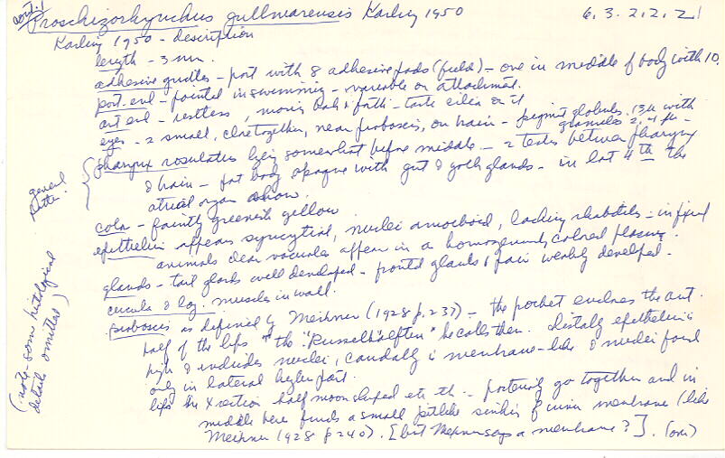 index card