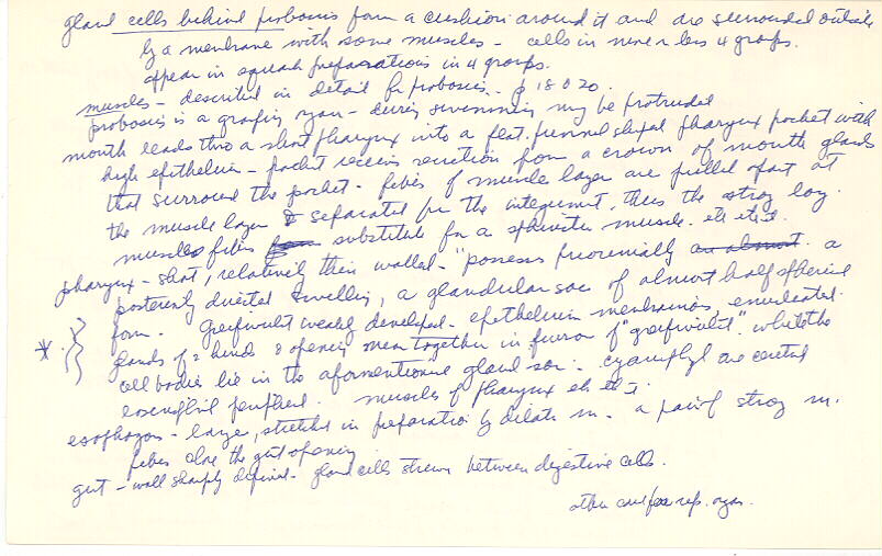 index card