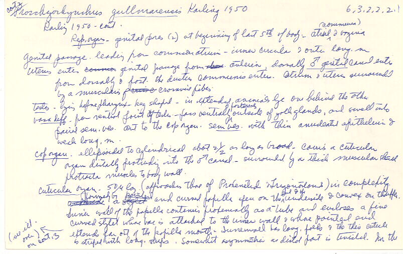 index card