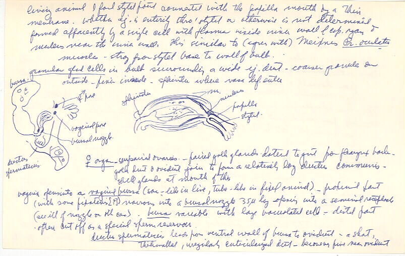 index card