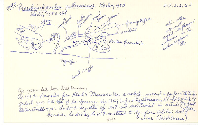 index card