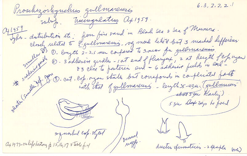 index card