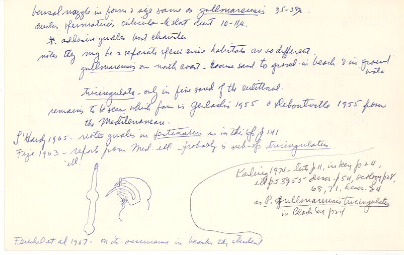 index card