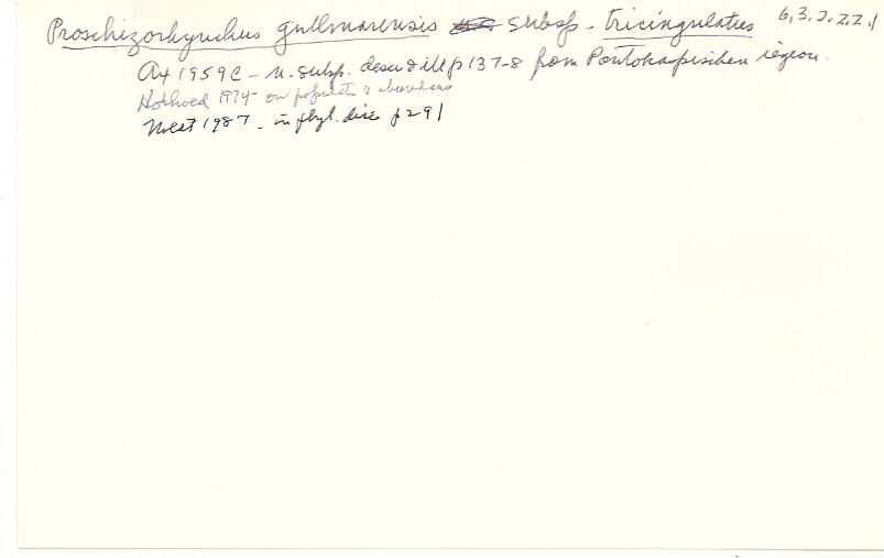 index card