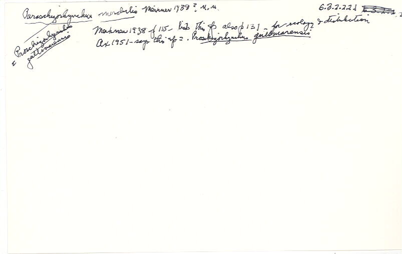 index card