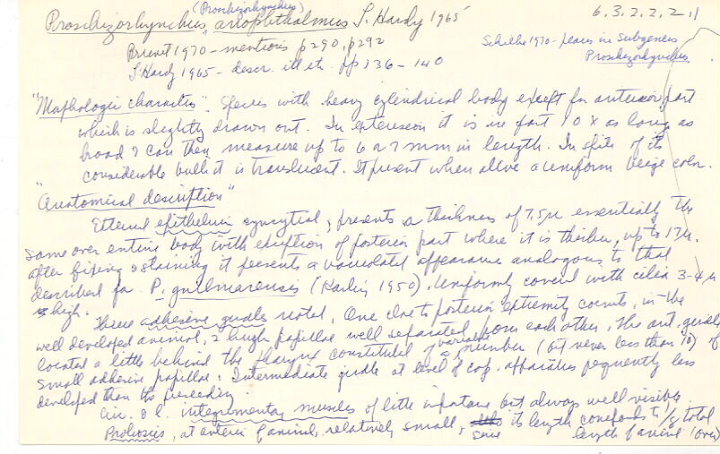 index card