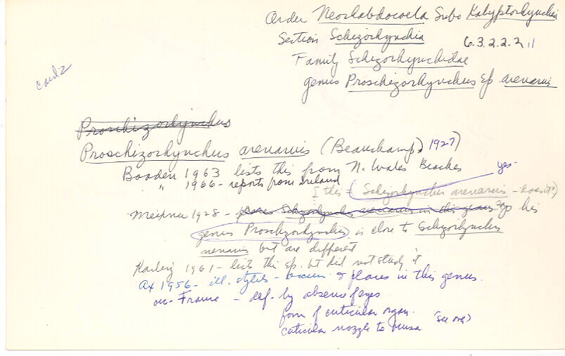 index card
