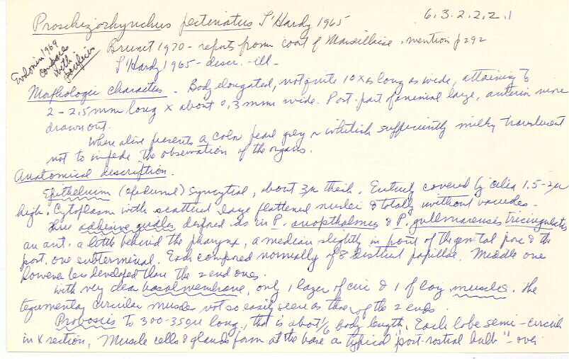 index card