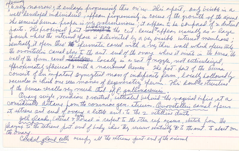 index card